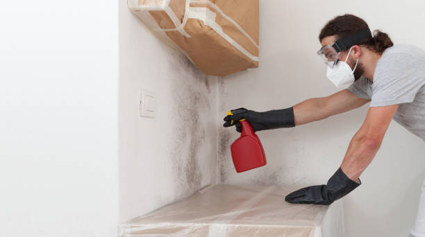 Professional Black Mold Removal technician working in Riverton, NJ